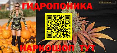 mdma Новозыбков