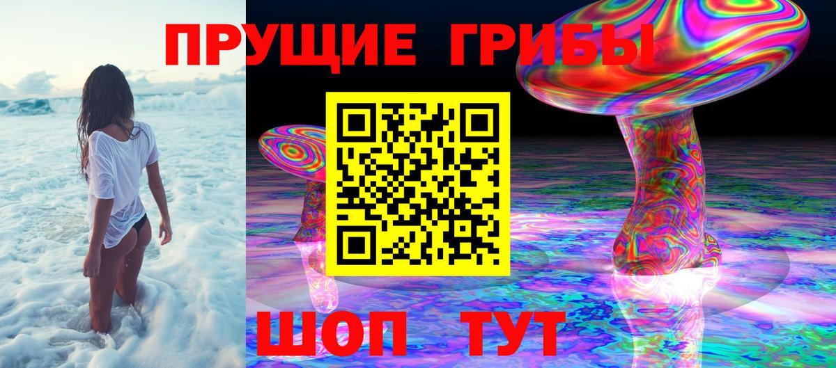 Псилоцибиновые грибы мицелий  Псилоцибиновые грибы ЛСД  Тосно  Вход с VPN 