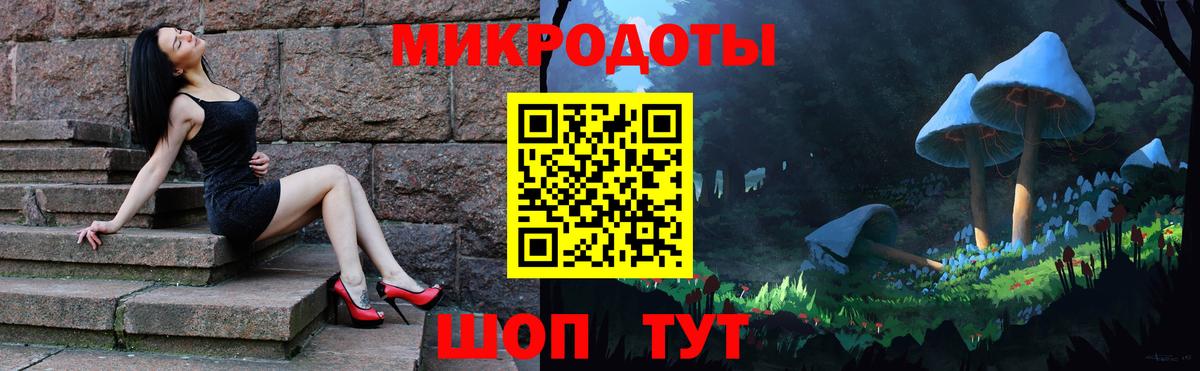Псилоцибиновые грибы Psilocybine cubensis Тосно
