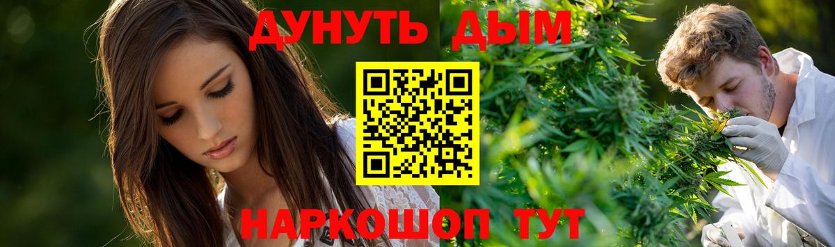 Бошки Шишки марихуана Тосно